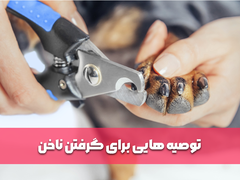 توصیه هایی برای گرفتن ناخن